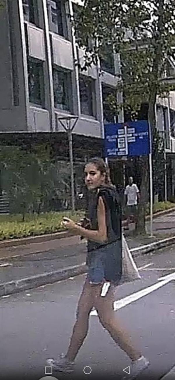 Ang Moh shows middle finger after being honked at for jaywalking