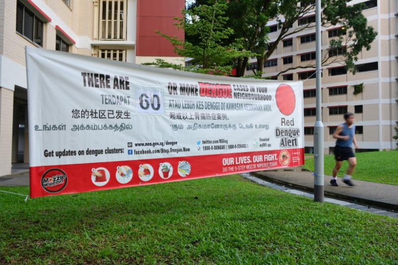 71 year old woman becomes the third dengue death in SG this year