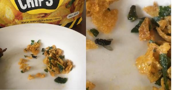 First lizard, now fried fly found in Irvins Salted Egg Chips
