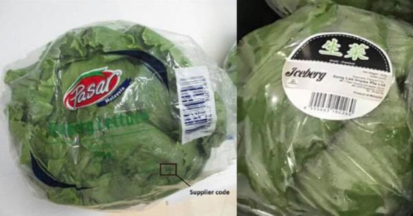 Lettuce from Malaysia not safe for consumption says AVA