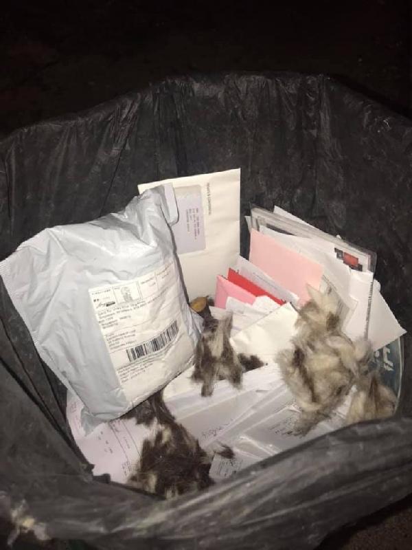 Unopened letters for AMK residents found dumped inside rubbish bin