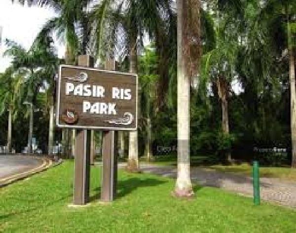 Man falls into quicksand in Pasir Ris trying to help another victim