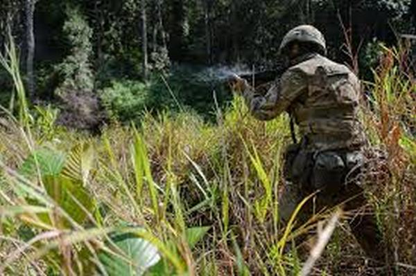 SAF regular dies in Brunei after being hit by falling tree branch