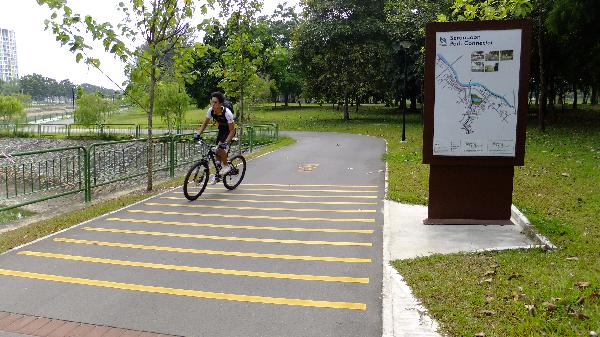 Monitor lizard dies getting entangled in wheels of moving bicycle, cyclist escaped serious injuries