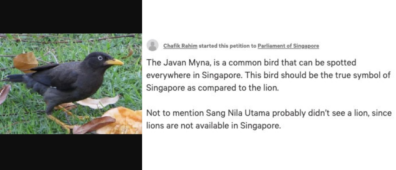 Someone Petitioned For Singapore's National Animal To A Javan Myna Instead;  Because Is Damn Common - 100% Honest News